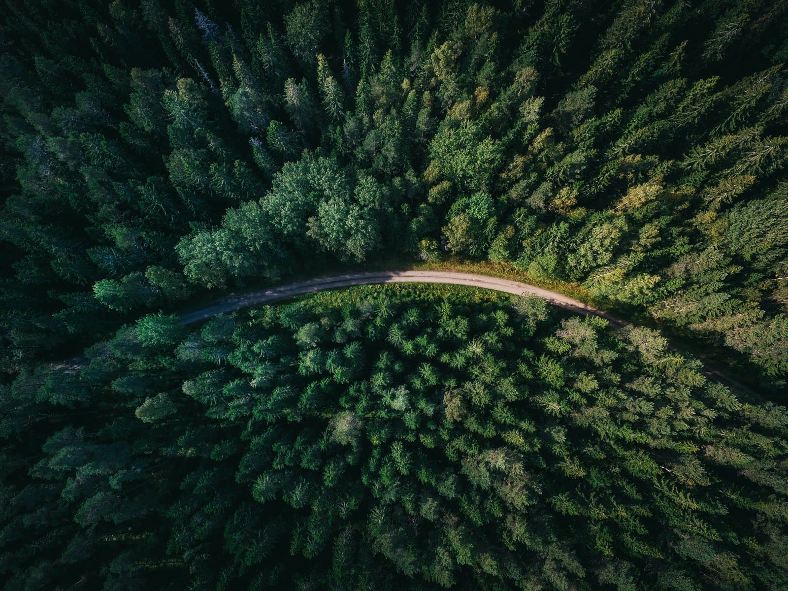 Ménage éco-responsable à Lille : produits respectueux de l'environnement
